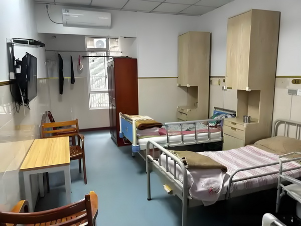 深圳户籍办理网上申请_陈梦与演员任嘉伦一起打乒乓球，两人系发小+队友 任嘉伦一起中说消息